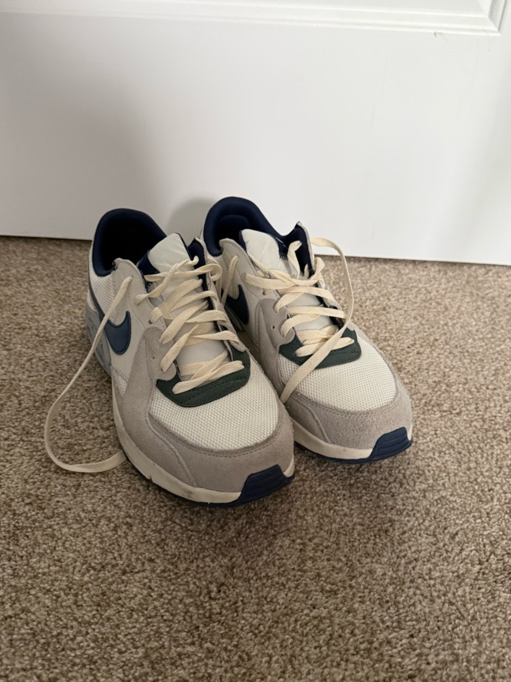Nike Navy and White Running Sneakers
